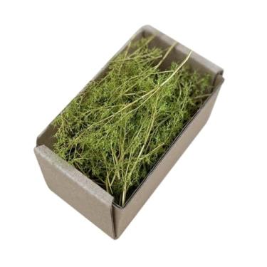 Imagem de Fancyes Simulação de grama em miniatura para jardim de fadas, modelo de ferroviário, grama falsa para trens de cenário ferroviário, mesa de areia, Primavera verde