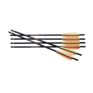 Imagem de Kit Crosman com 6 de Flechas (setas) de alumínio/com 41cm/para Arco-Unissex