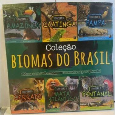 Imagem de Conjunto - Biomas Do Brasil