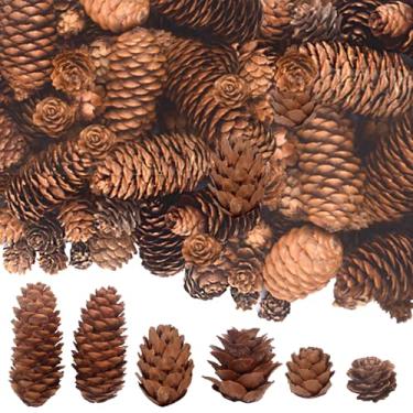 Imagem de AGNURCADE 120 peças de pinhas naturais de Natal mini pinhas enchimentos de vaso de pinhas guirlanda ornamentos de mesa centros de mesa artesanato presente para outono inverno árvore de Natal grinalda