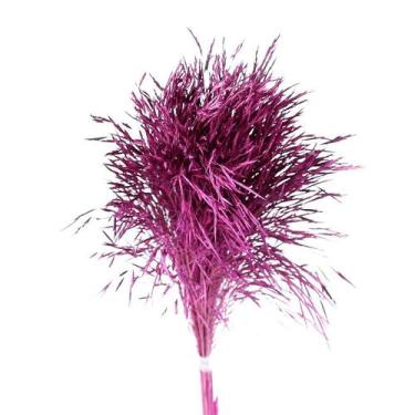 Imagem de Capim Chorão Pink - Pense Flores