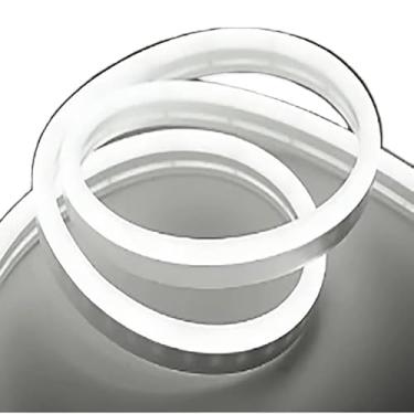 Imagem de Fita de LED Mangueira Neon 5 Metros IP65 Flexível Com ou Sem Fonte(Branco Frio,Com Fonte)