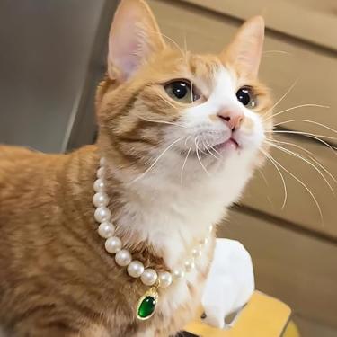 Imagem de Colar com pingente de coração de animal de estimação - coleira ajustável com pérola falsa para cães, gatos e pequenos animais, elegante e confortável