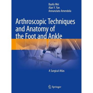 Imagem de Arthroscopic Techniques and Anatomy of the Foot and Ankle