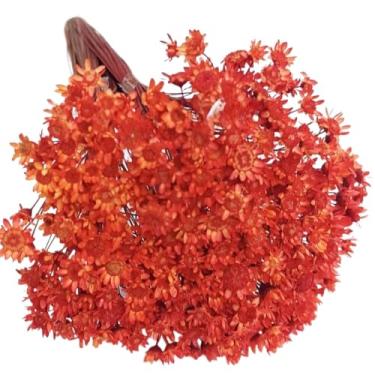 Imagem de Buquê de 300 Flores Secas Sempre Viva Mosquitinho – Mini Florzinhas Naturais para Arranjos e Decoração(Laranja)
