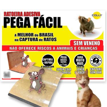 Imagem de Armadilha Rato Colly 10 Unid Ratoeira Placa Adesiva De Papel Cola Controle de Pequenos Insetos