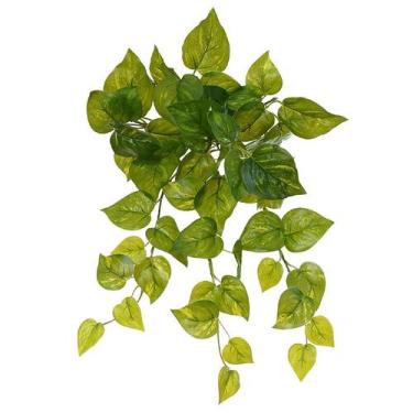 Imagem de Folhagem de Jiboia verde com creme para arranjos pendentes x60 40 cm -