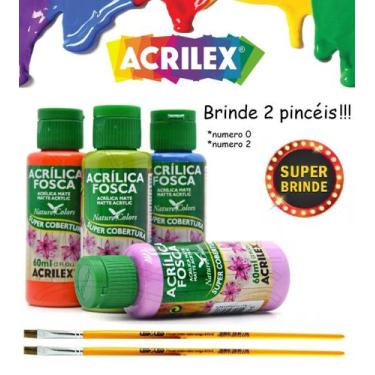 Imagem de Tinta Acrílica Nature Colors 60 ML - Kit c/10 cores Sortidas - Acrilex