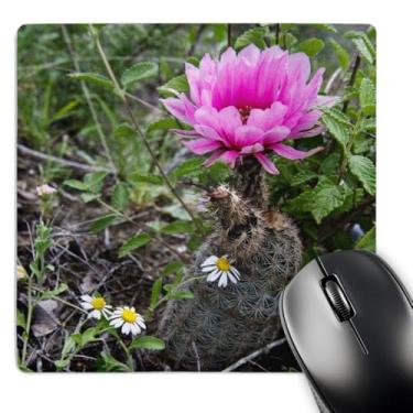 Imagem de 3dRose Mouse pad Fitchs Hedgehog Cactus Rio Grande Texas EUA Us44 Ldi0643 Larry Ditto (mp_146774_1)
