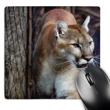 Imagem de 3Drose Mouse pad LLC 20 x 20 x 0,63 cm, Wildlifes Beauty a Cougar inclinando-se contra uma árvore (Mp_127843_1)