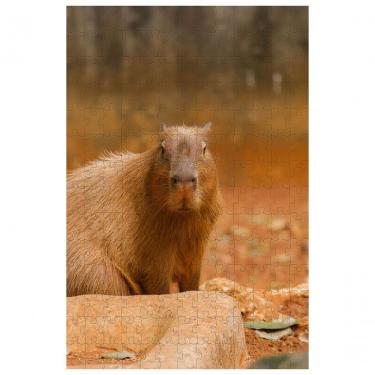 Imagem de Quebra-cabeça Capivara De 60 Peças