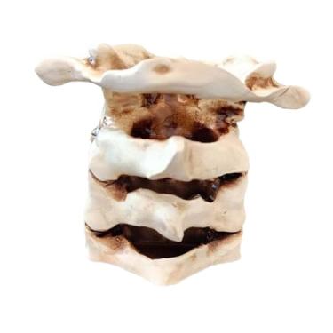 Imagem de Amagogo Simulação de suporte para caneta de coluna vertebral, estátua de coluna vertebral, artesanato, escultura, organizador de mesa, sala de estar,