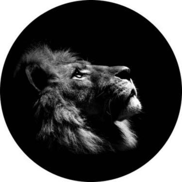 Imagem de Capa para Estepe Ecosport + Cabo + Cadeado Lorben CN935