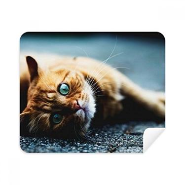 Imagem de Animal Pure Blue Eye Cat Pano de limpeza para fotografia de gato Limpador de tela 2 peças Tecido de camurça