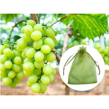 Imagem de 50 Saquinhos protege fruta no pé Lavavel Ideal para uva (20x30 cm) - G