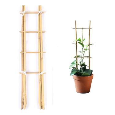 Imagem de Cambaverd Treliça em forma de escada de bambu natural 60 cm, suporte ecológico para escalar plantas, legumes e frutas – Pacote com 3 treliças