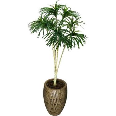 Imagem de Árvore Artificial Planta VERDE Dracena 164cm PREMIUM - La Caza Store
