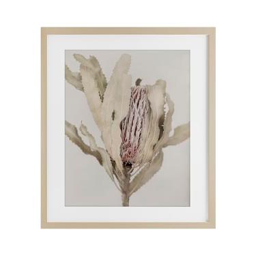 Imagem de Stupell Industries Impressão emoldurada de bétula com bordas botânicas de Banksia ocultas sob vidro, design de Sisi e Seb, 40 x 33