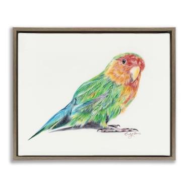 Imagem de Stupell Industries Arte de parede em tela flutuante com moldura preta de periquito gradiente arco-íris, design de Cady Driver, 63 x 78 cm