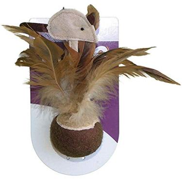 Imagem de Rato Rabo Na Bola de Tenis Jambo para Cães