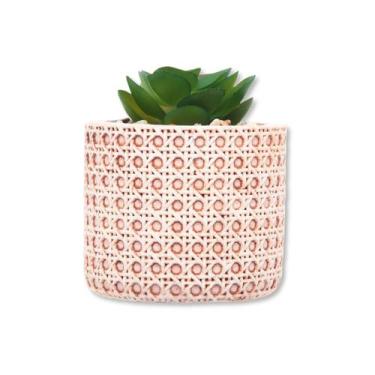 Imagem de Suculenta com cachepop ceramica trelica 7,5cm wolff
