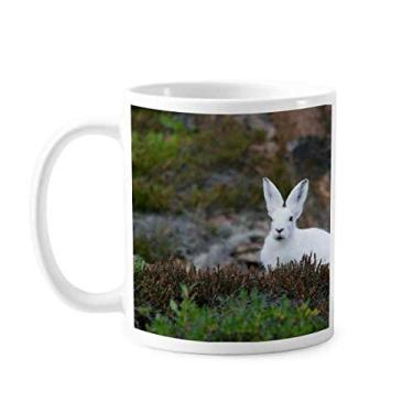 Imagem de White Coelhos Ciência Natureza Cenário Caneca Cerâmica Café Porcelana Utensílios de Mesa