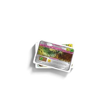 Imagem de Terraforming Mars: Pacote de Promos Prelúdio 2 (Expansão)