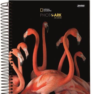 Imagem de Caderno Universitário NatGeo 96 Folhas A4 Pautado 1x1 Capa Dura