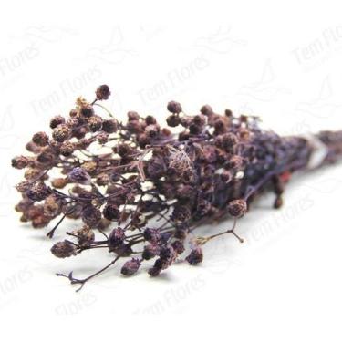 Imagem de Ramo Roxo Flor Desidratada Buque Flores Secas - Pense Flores, Roxo