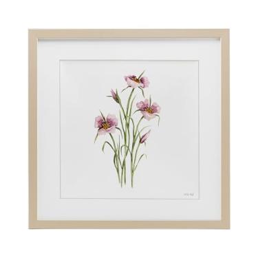 Imagem de Stupell Industries Impressão emoldurada de bétula botânica fúcsia mariposa sob vidro, design de Cindy Jacobs, 33 x 33