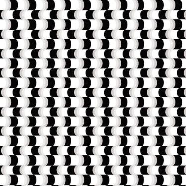 Imagem de Papel De Parede Abstrato Preto E Branco Autocolante Sala - LRP