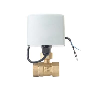 Imagem de VTGVVVTR 1/5.1 cm 3/10.2 cm 2.5 cm 5.1 cm válvula de esfera motorizada 3 fios 2 controle AC24V AC220V CC 12V DC24V latão válvula de esfera elétrica grande torque motor de metal (1,5 polegadas)