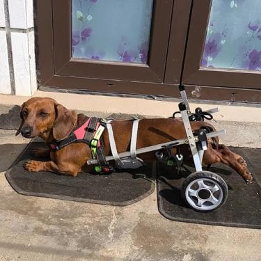 Imagem de Cadeira de rodas para cães Dachshund - Auxiliar de mobilidade ajustável de 2 rodas para pernas traseiras, suporte leve para perna e suporte de quadril para maior atividade, conforto e independência