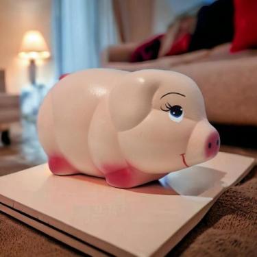 Imagem de Porco Cofre Porquinho Porta Moeda em Cerâmica - VÁRIAS VARIEDADES