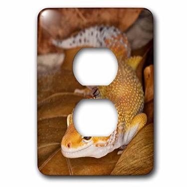 Imagem de 3dRose Capa de 2 tomadas Lsp_73099_6 Leopard Gecko Morph, Lagarto, Paquistão - As28 Aje000 Adam Jones