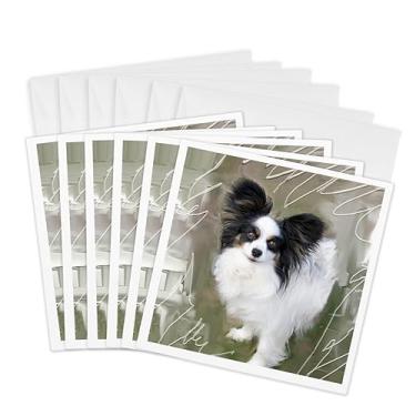 Imagem de 3dRose Papillon preto e branco - Cartões comemorativos, 15 x 15 cm, conjunto de 6 (gc_8334_1)