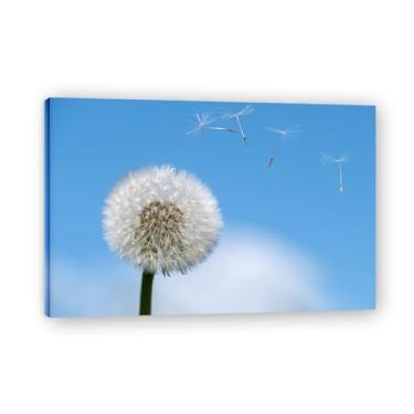 Imagem de Pintura em tela de arte de parede, sementes de dente-de-leão, soprando ao vento, pôster impresso, para sala de estar, quarto, cozinha, escritório, 75 x 50 cm