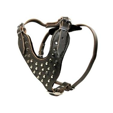 Imagem de Dean & Tyler Peitoral de couro com fivela de níquel Stud Warrior, médio, marrom