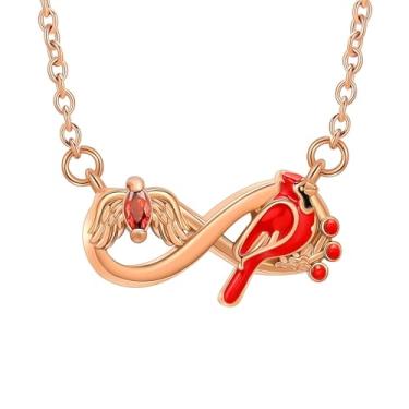 Imagem de AIWENXI Colares de urna infinita para mulheres e homens, joias de cremação cardeal do norte para cinzas cristal asas de anjo memorial cinzas pingente de lembrança de animais de estimação joias, Aço