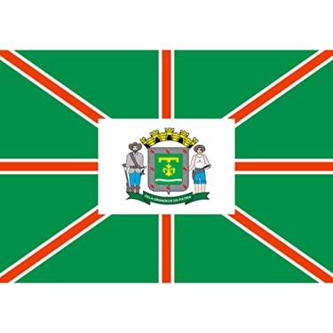 Imagem de Bandeira do município Goiânia Estampada dupla face - 0,70X1,00m