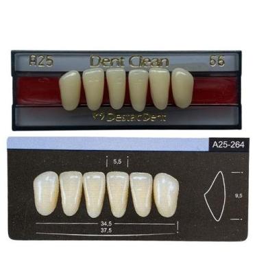 Imagem de Dente Dent Clean Anterior A25 Inferior - Imodonto