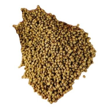 Imagem de 5kg Ração P/ Peixes Filhotes 42% Tartarugas, Jabuti 2,5mm - Supra