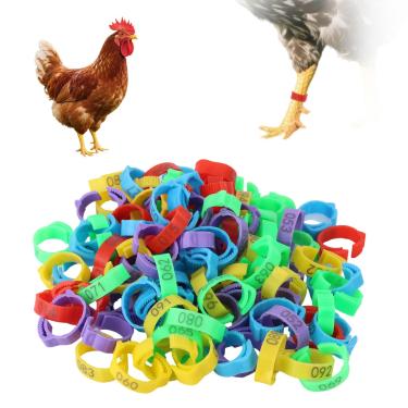 Imagem de 100 Peças Anéis para Coxas de Frango, 5 Cores Ajustáveis Anéis Coxas de Aves com Números 1 a 100 Etiqueta Identificação para Frangos Patos Perus e Gansos