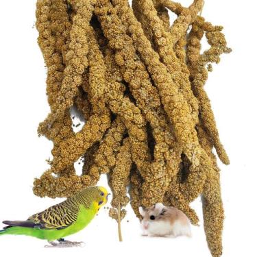 Imagem de Spray natural de milho seco ao sol Bird Food kathson 500g
