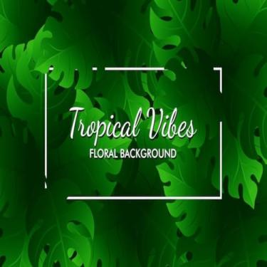 Imagem de Quadro Decorativo Green Monstera Deliciosa Folhagem Tropical Arte Moderna 40x40cm