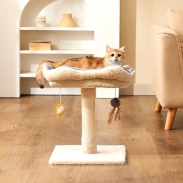 Imagem de Gardner Pet Árvore de gato pequena para gatinhos, poste para arranhar gatos de 51 cm com cama, árvore de gato com poleiro macio fofo e bolas de brinquedo, poste para arranhar gatinhos com sisal tecido
