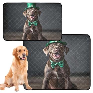 Imagem de TSENQUE Almofadas de xixi laváveis fofas para cães de estimação reutilizáveis para cães de estimação almofadas de treinamento de filhotes absorventes à prova d'água tapete de cercadinho para cães