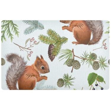 Imagem de TSENQUE Capacho personalizado de pinhão esquilo tapete de lama absorvente grande lavável tapete de entrada interno para casa tapete de porta de outono externo 81 x 50 cm