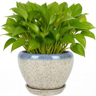 Imagem de Deep Dream Vasos de plantas de 15 cm - Vaso de cerâmica com orifício de drenagem e pires, vaso de flores redondo para suculentas, plantas de cobra e cacto, bege e azul