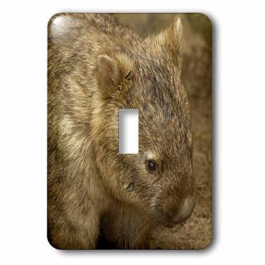 Imagem de 3dRose lsp_73392_1" Comum Wombat, Marsupial, Austrália-AU01 POX0109-Pete Oxford Interruptor de botão único
